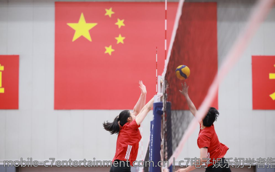 c7电子娱乐初学者指南